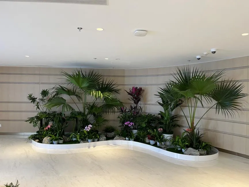 惊艳!镇海绿化养护公司的卓越养护之道